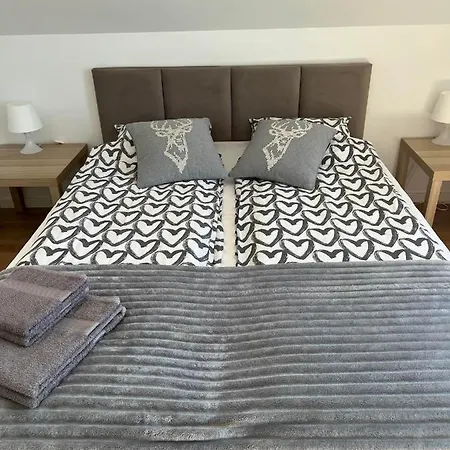 Daire Dom Na Kaszubach 